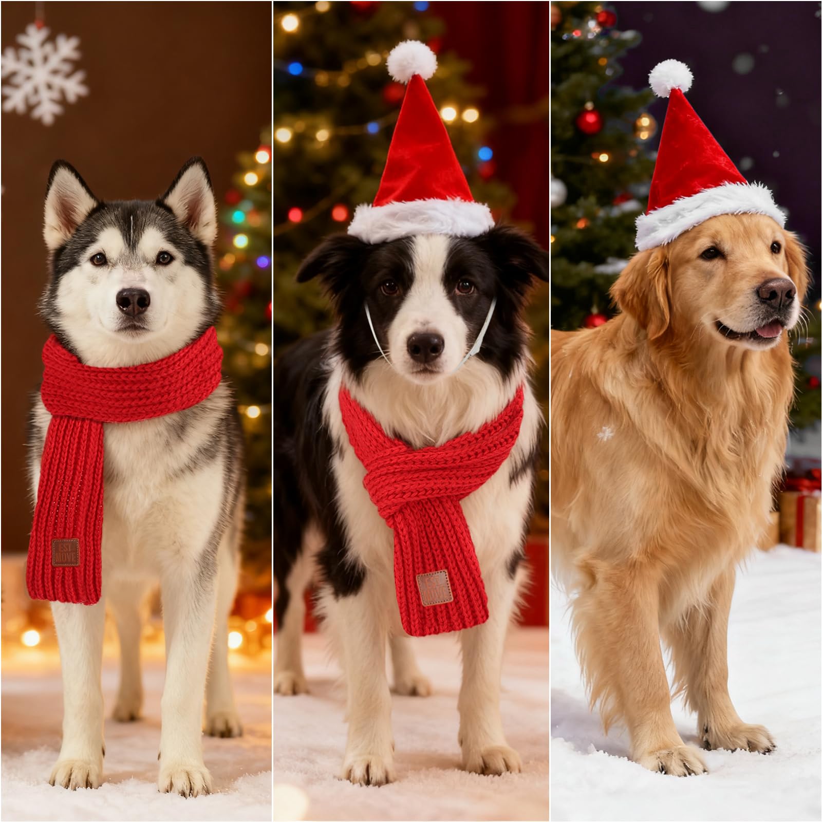 GINDOOR winter-outfit-for-pets-festive-fashion showcases complete holiday look.