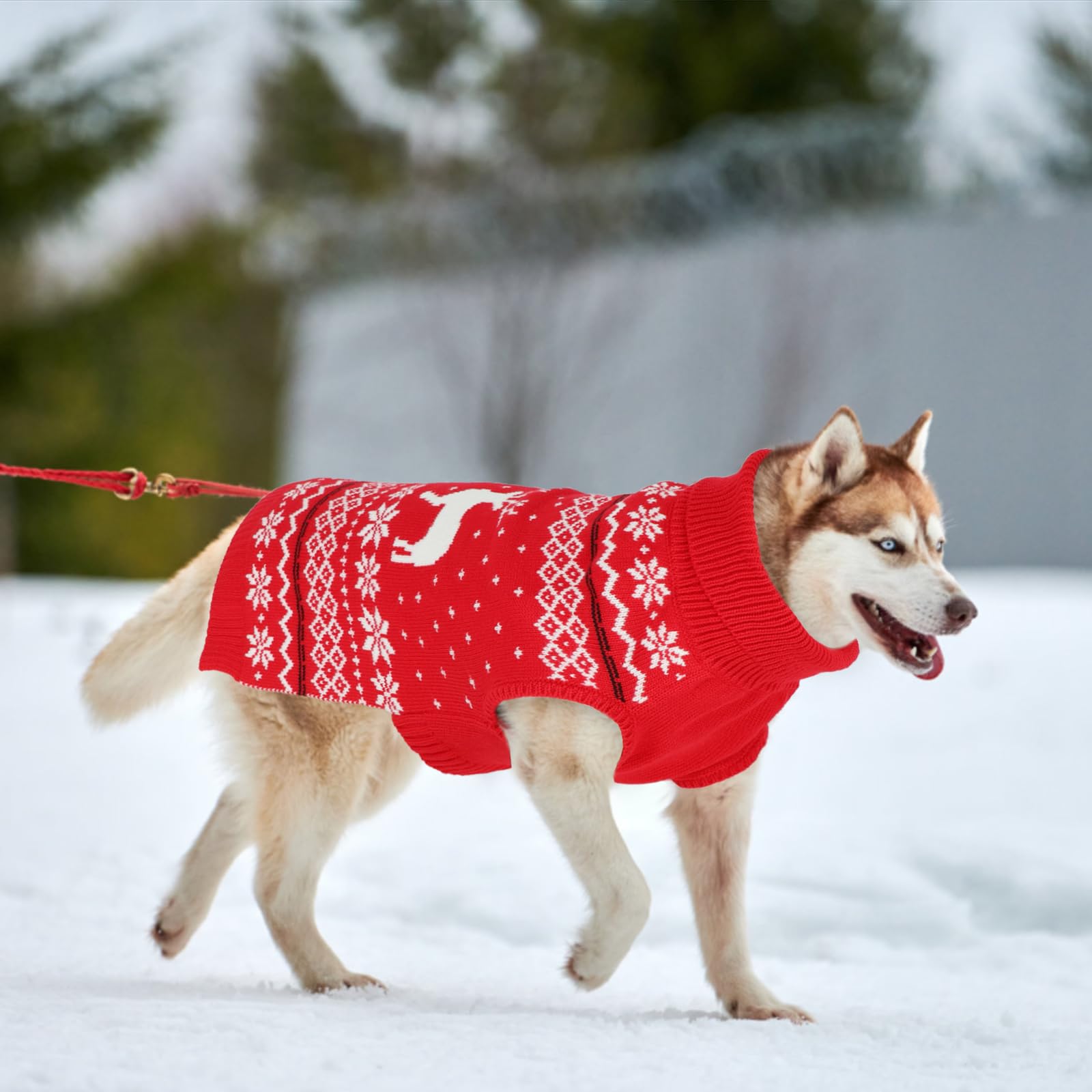 GINDOOR dog-fabric-soft-elastic material makes dressing quick and comfy.