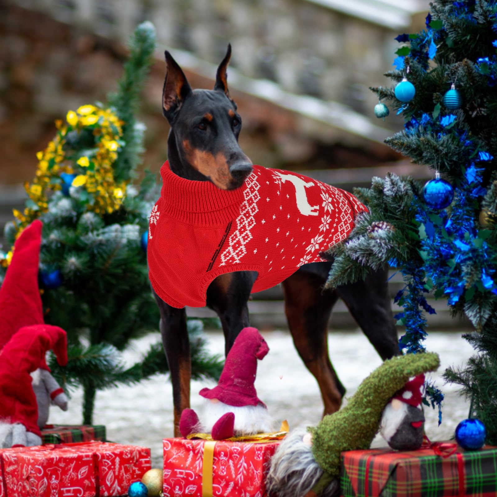 GINDOOR dog-machine-washable knit simplifies cleaning after festive snacking.