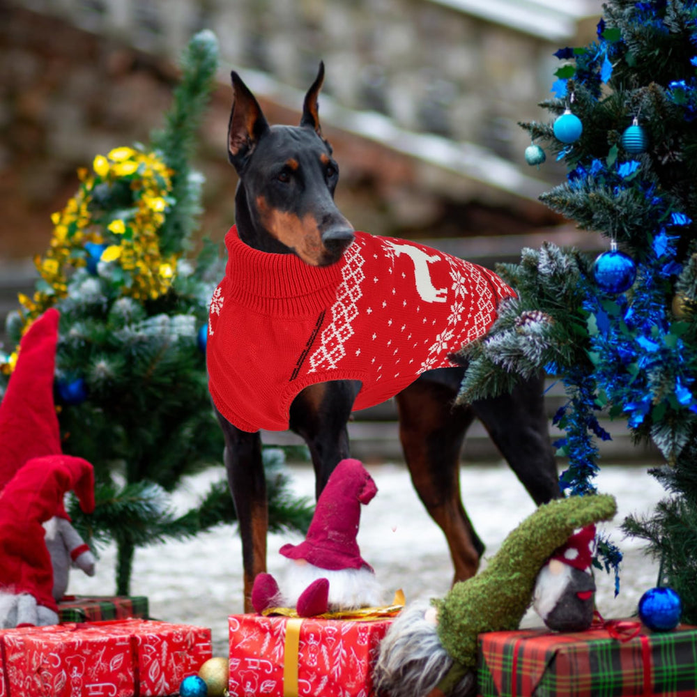 GINDOOR dog-machine-washable knit simplifies cleaning after festive snacking.