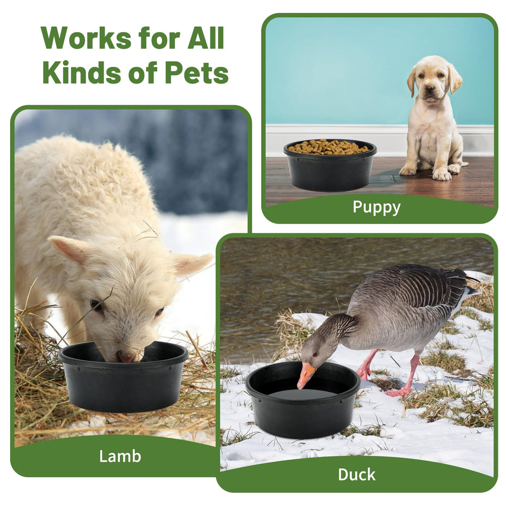 GINDOOR chicken dust-bath rubber bowl demonstrates poultry-friendly design