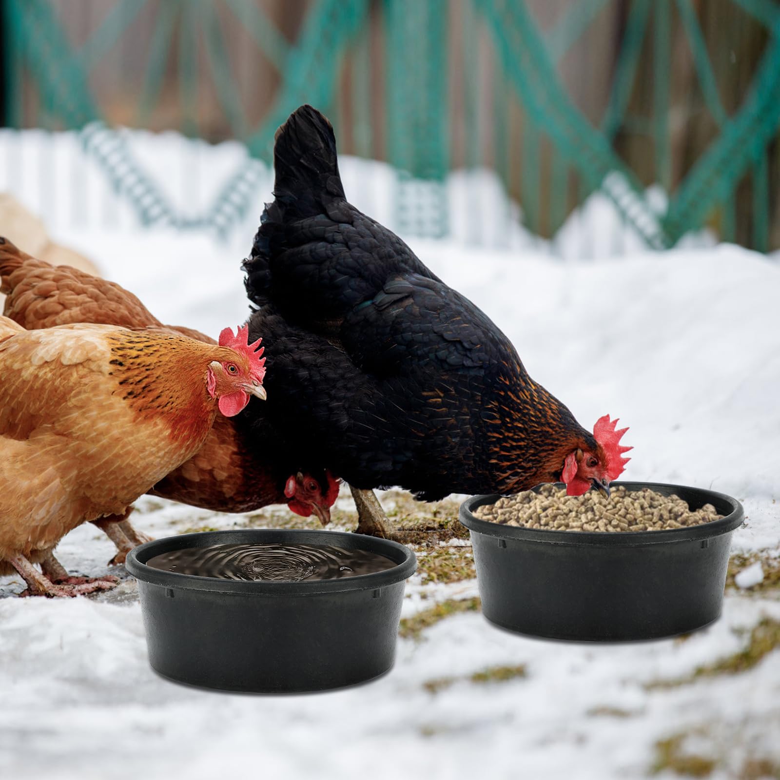 GINDOOR livestock water bowl designed for farm animals and pets