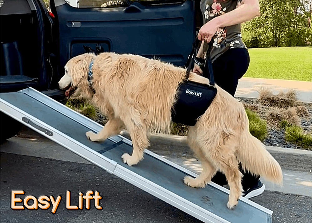 GingerLead adjustable-height straps tailor fit for dogs and handlers