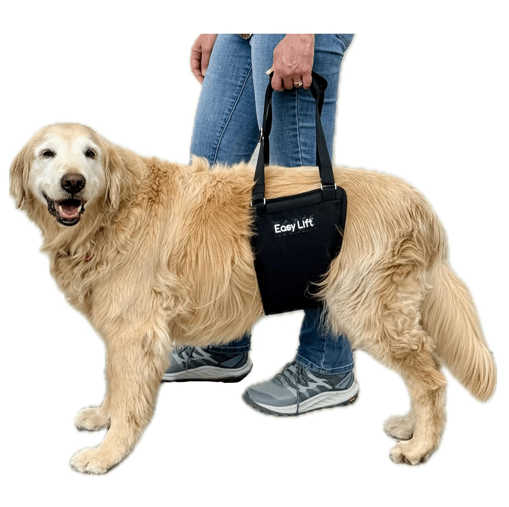 GingerLead Easy Lift Sling rear-hind-leg support for safer transfers