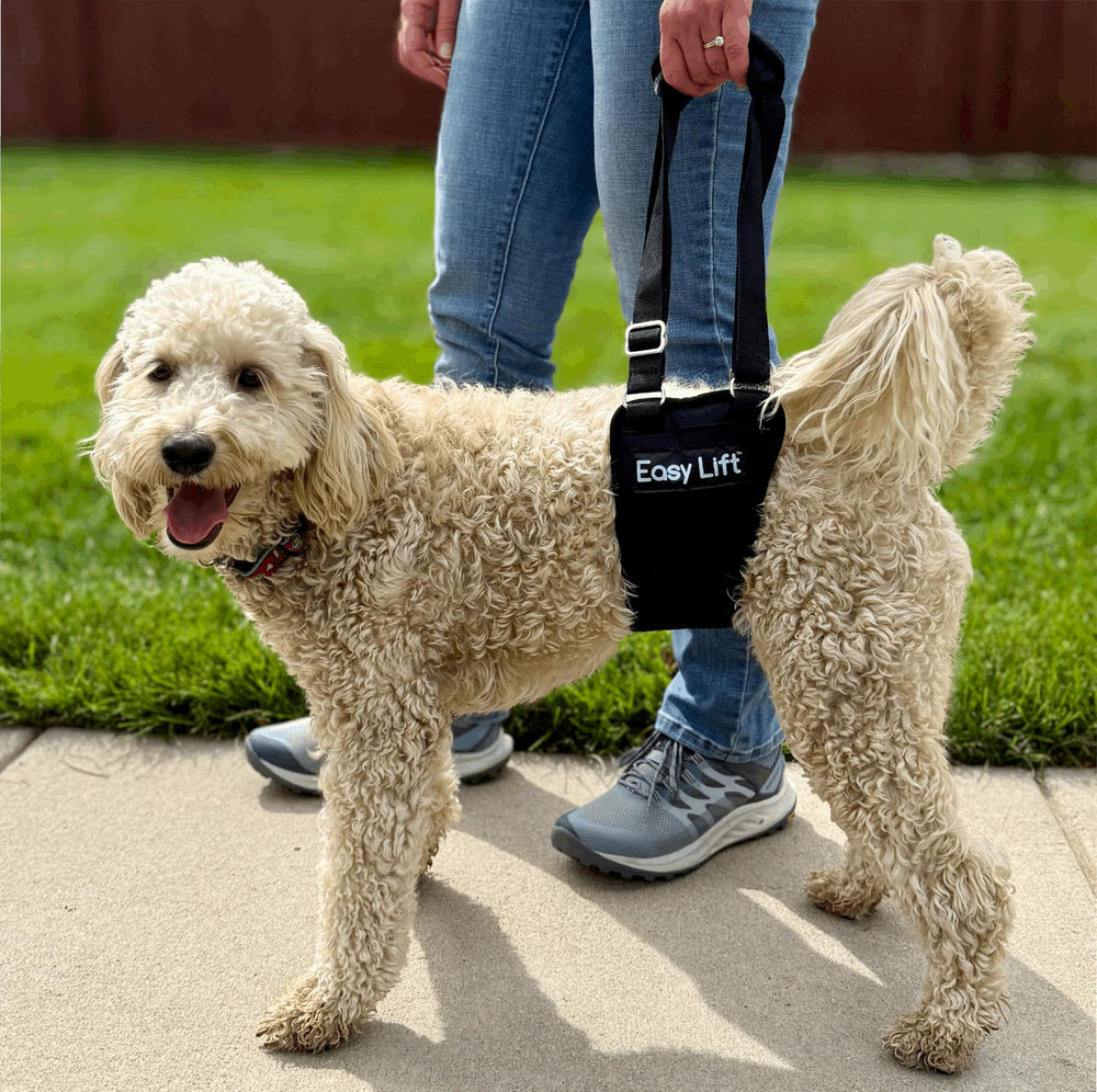 GingerLead Easy Lift machine wash dry-friendly material ensures easy cleanliness