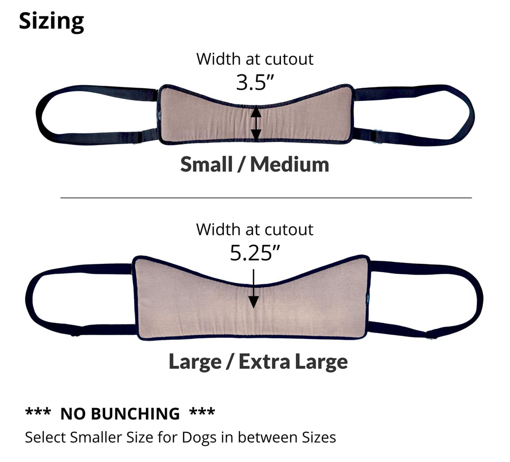 GingerLead Easy Lift padded harness closeup highlights comfortable, secure lift for injured dogs
