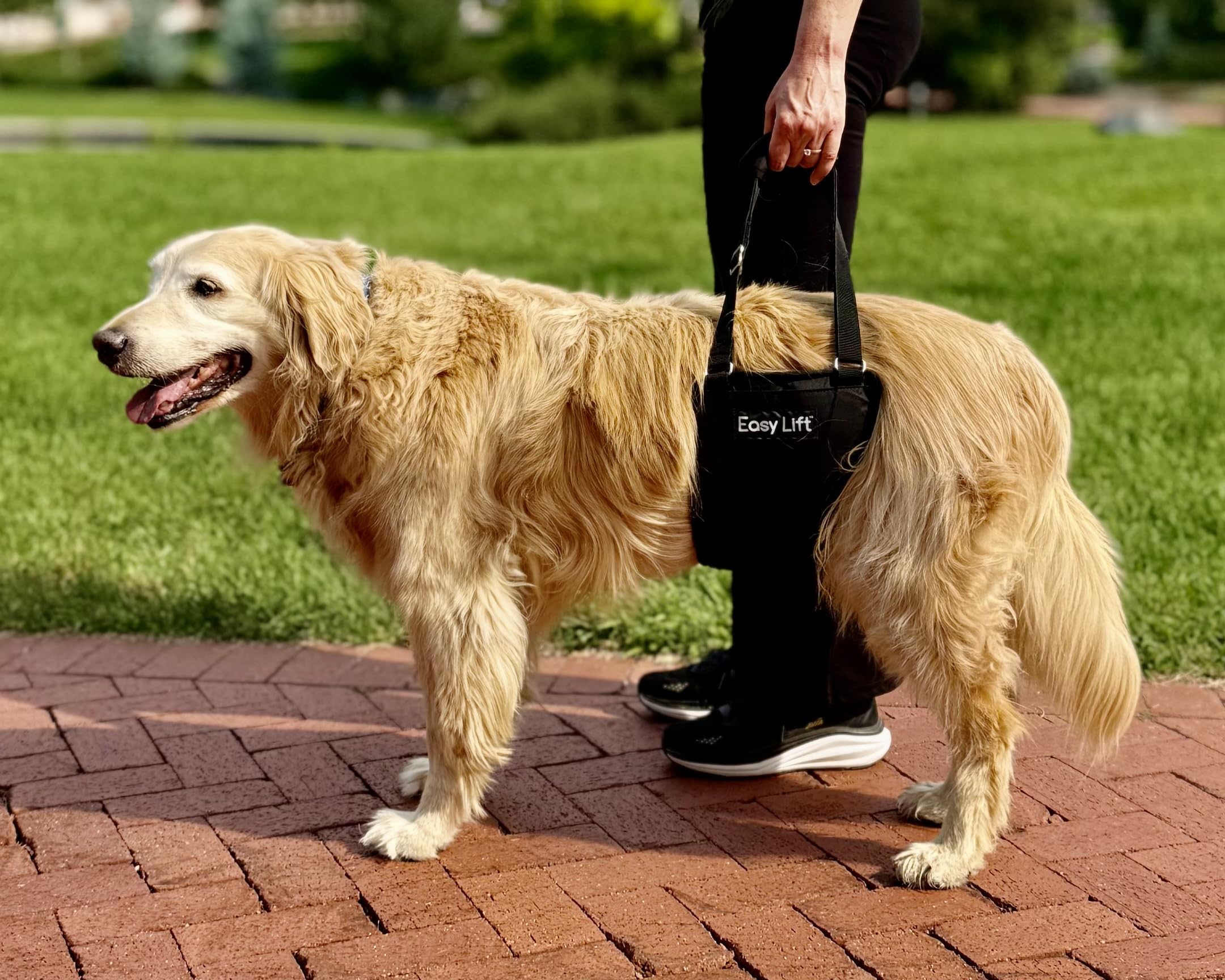 GingerLead sling features machine-washable construction for easy cleaning