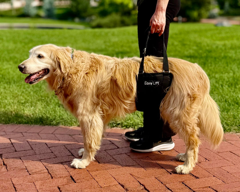 GingerLead sling features machine-washable construction for easy cleaning