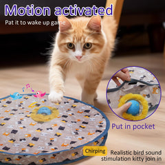 Giociv ball motion-activation wakes up with paw touch for play