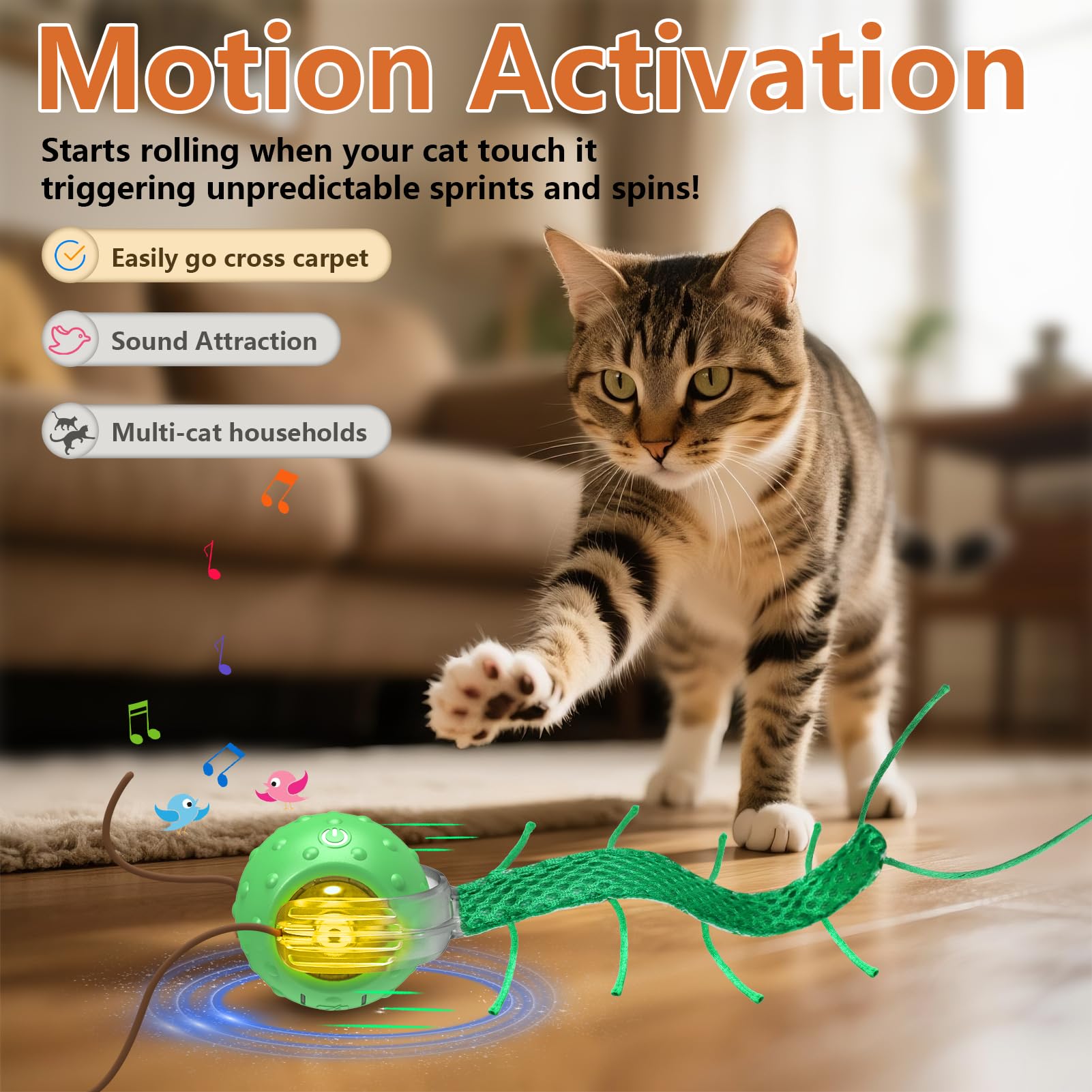 Giociv fast rolling on carpet keeps cats engaged during busy moments