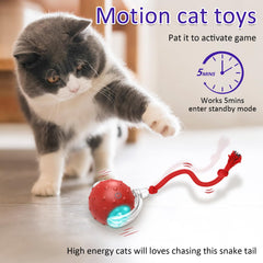Giociv interactive cat ball chirping sounds attract cats during play