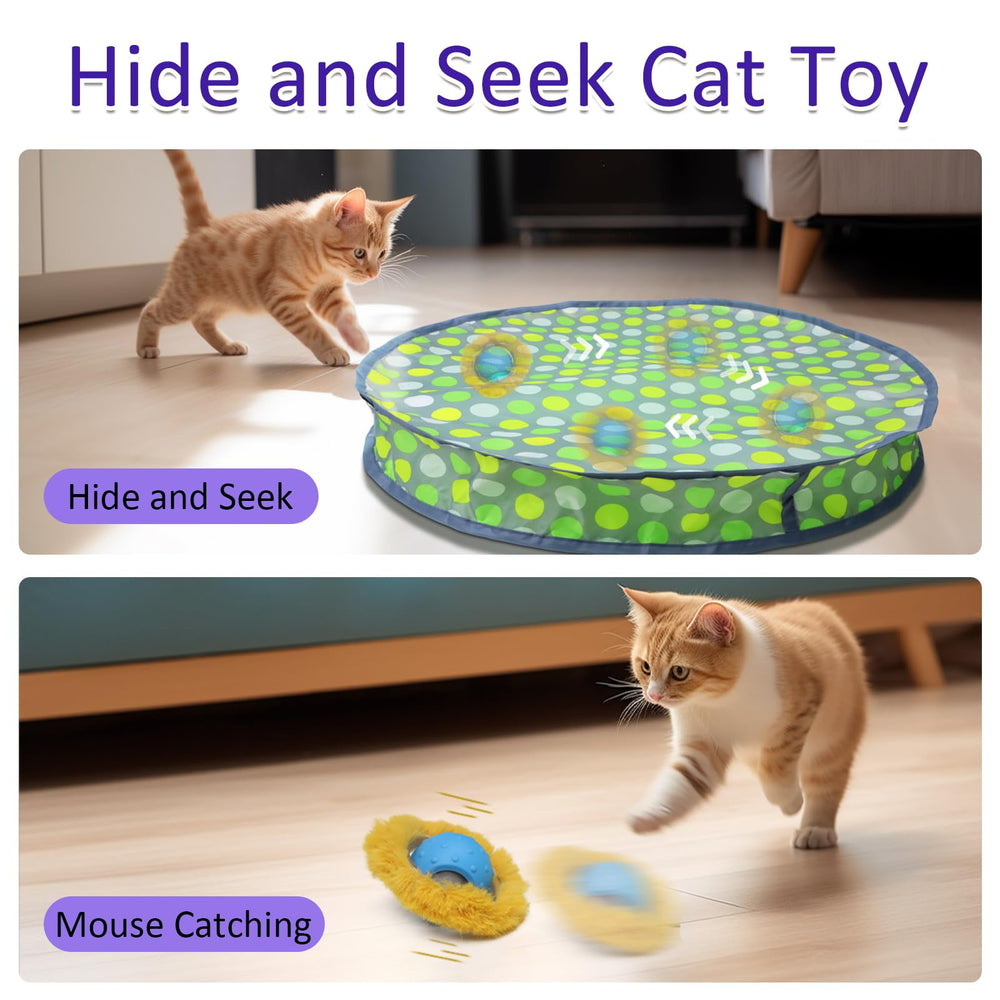 Giociv ball in use with a cat actively engaging satisfies hunting instincts indoors.