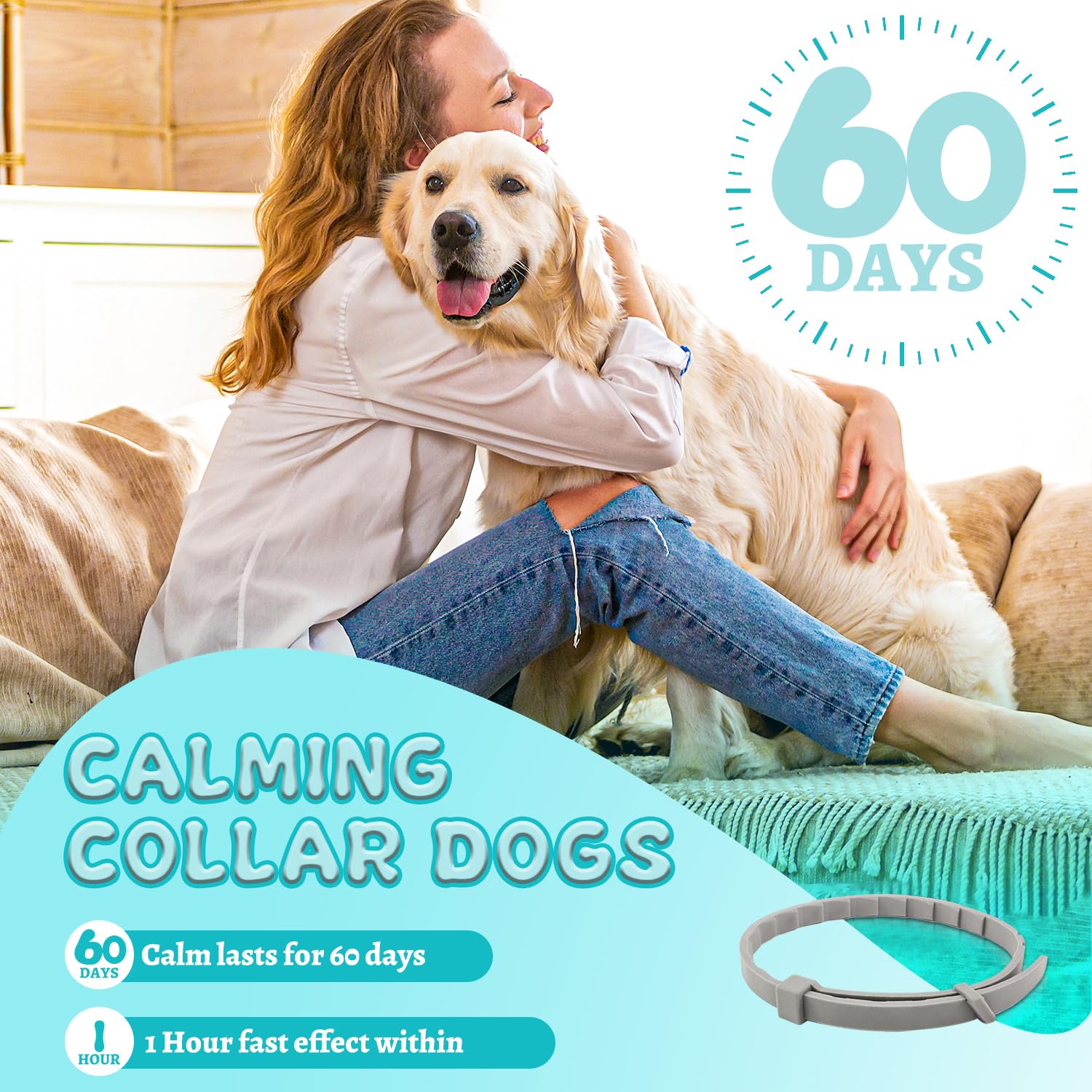 GIOVARA Calming Collar 4-piece set packaging for travel and storage.