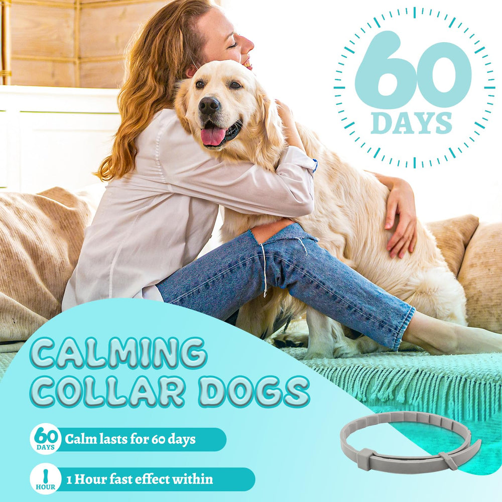 GIOVARA Calming Collar 4-piece set packaging for travel and storage.
