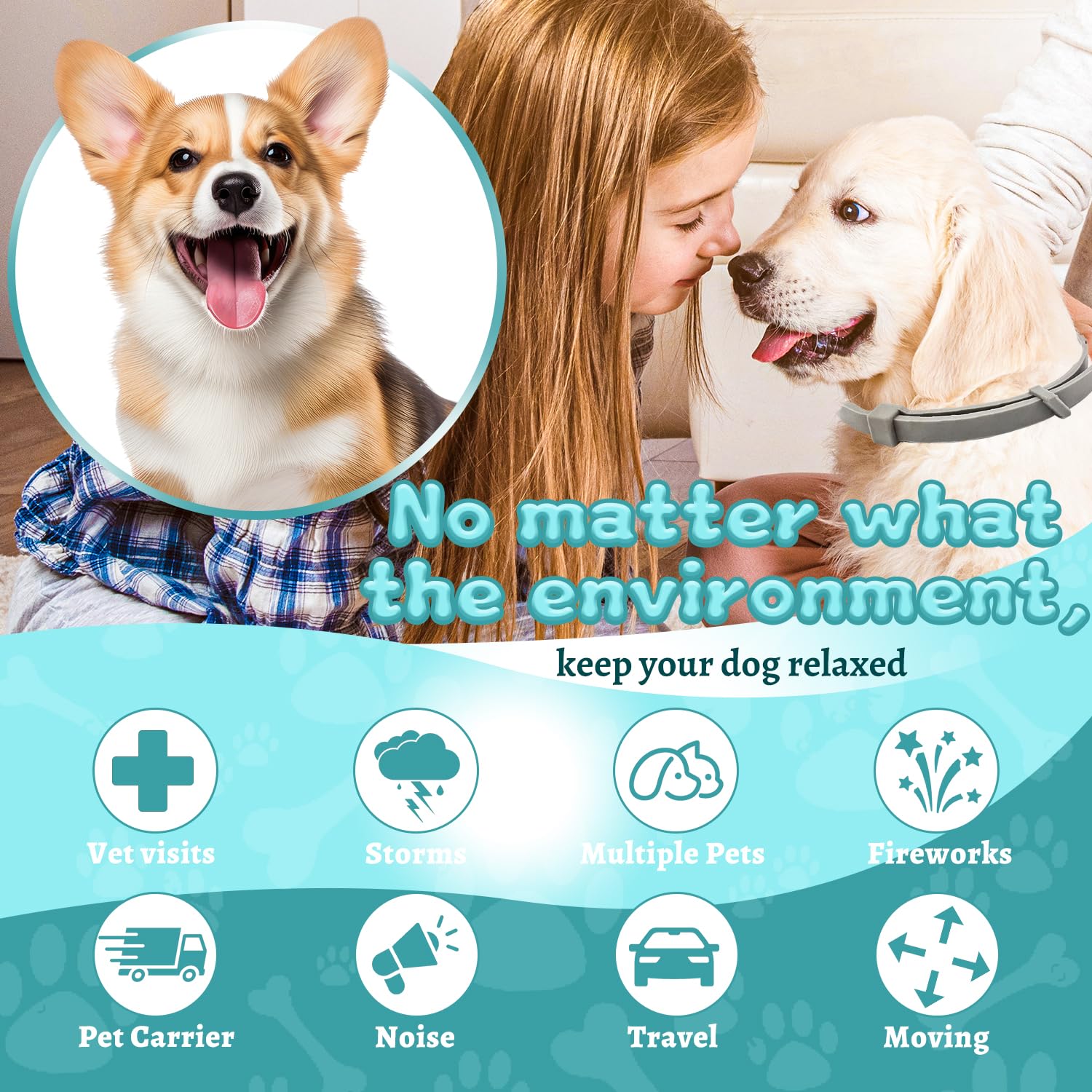 GIOVARA Calming Collar on a dog's neck in grey to promote calm during stressful outings.