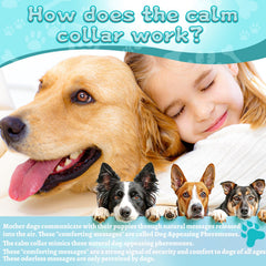 GIOVARA Calming Collar is waterproof in grey for use during rain or baths.