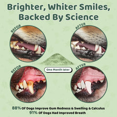 Giovara dog dental powder ingredients close-up emphasizes natural formula for gentle care.