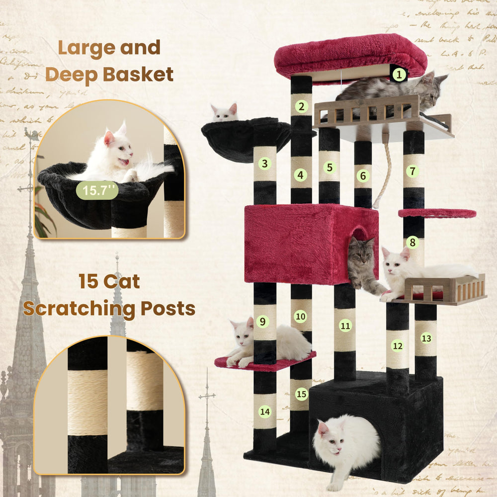 Gitelsnour cat condos hammock shows roomy privacy and safe napping