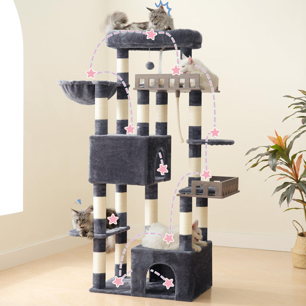 Gitelsnour cat condos and hammock for private rest