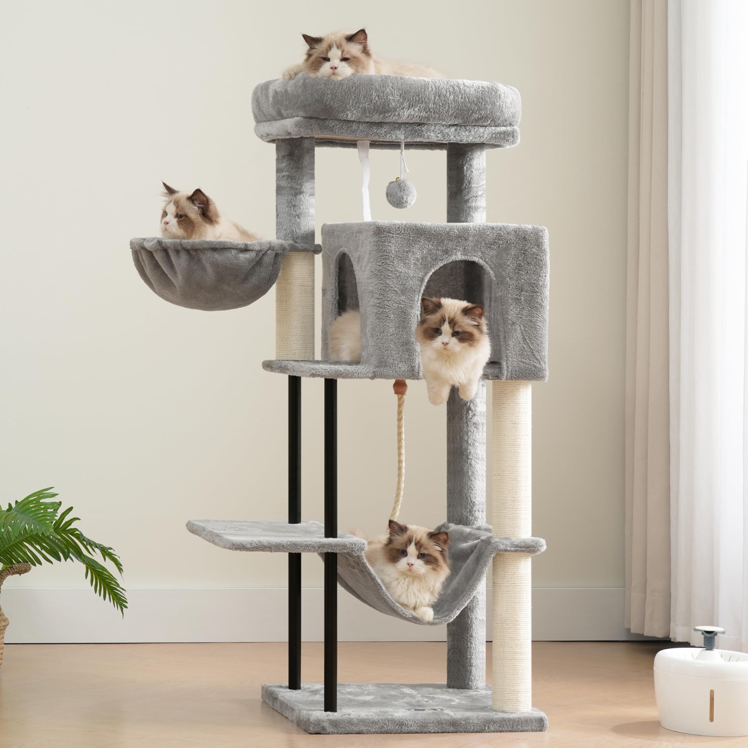 Gitelsnour cat-tree anti-tip strap helps secure placement.