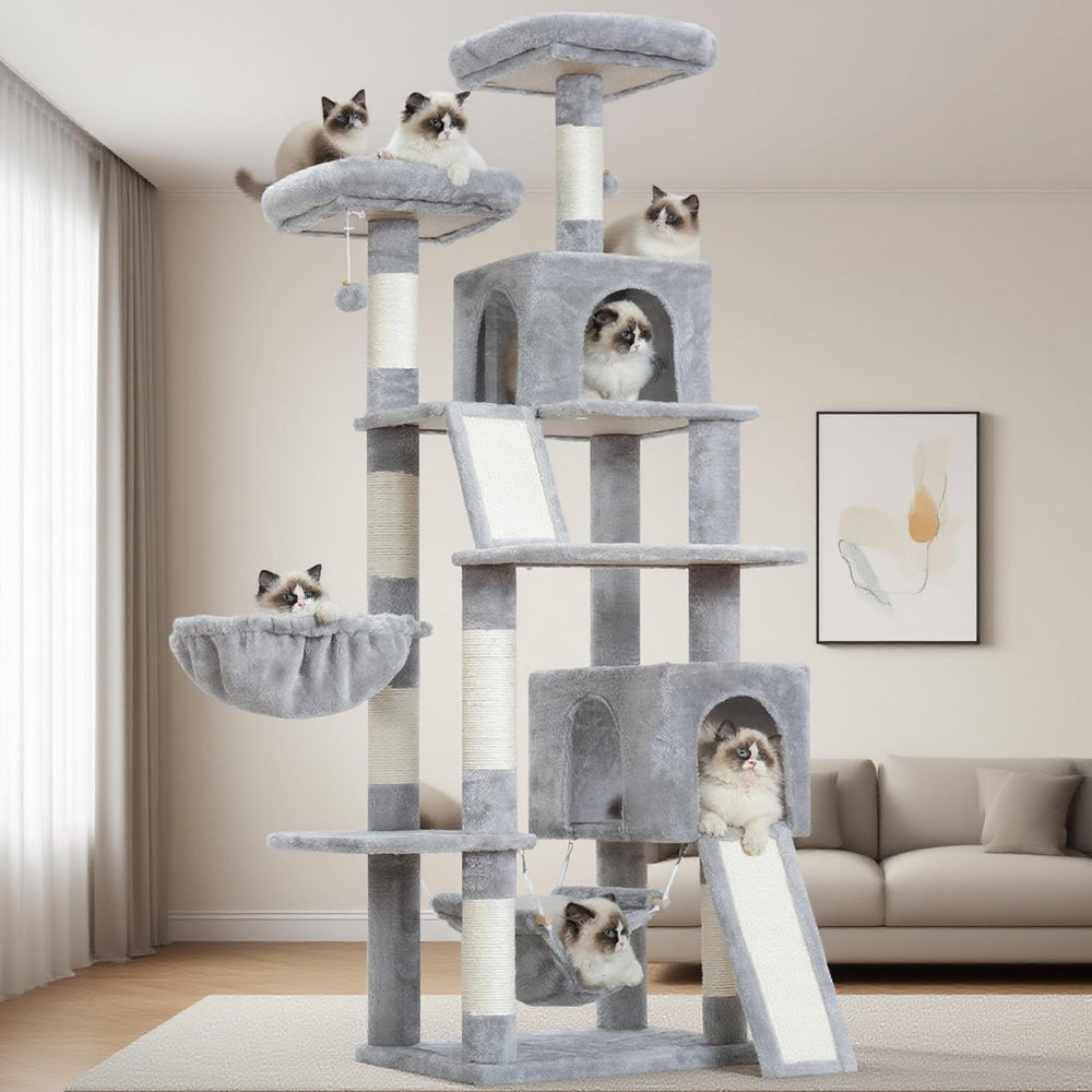 Gitelsnour cat tree base structure offers stability for indoor climbing
