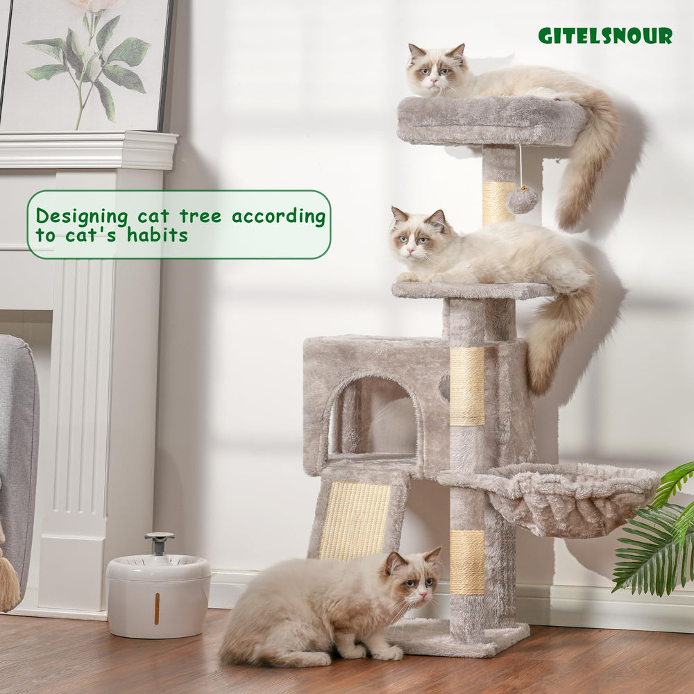 Gitelsnour cozy condo provides safe nap space for peaceful kitten rest
