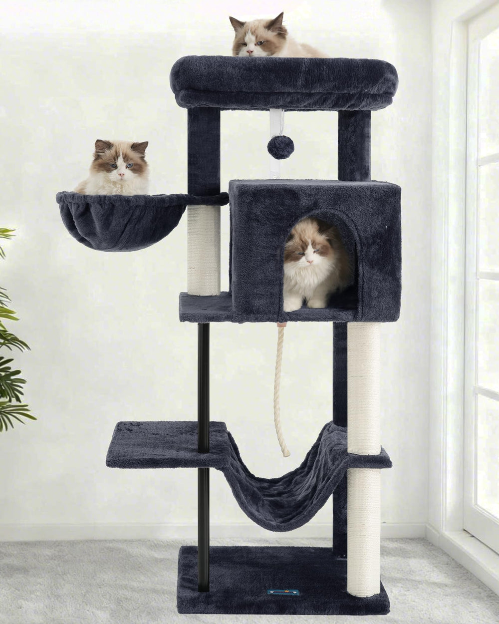 Gitelsnour cat tree kitten play area supports exploration and activity.