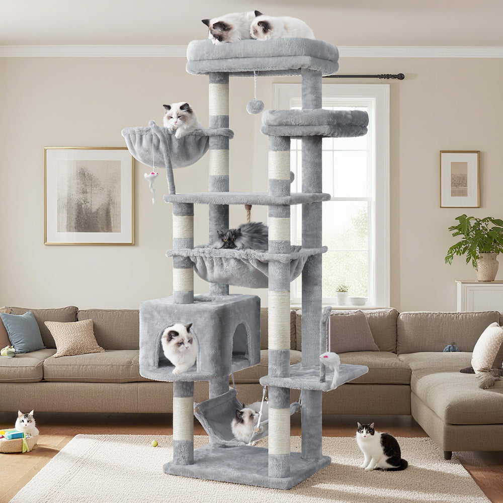 Gitelsnour Cat Tree large platforms for lounging and observation.
