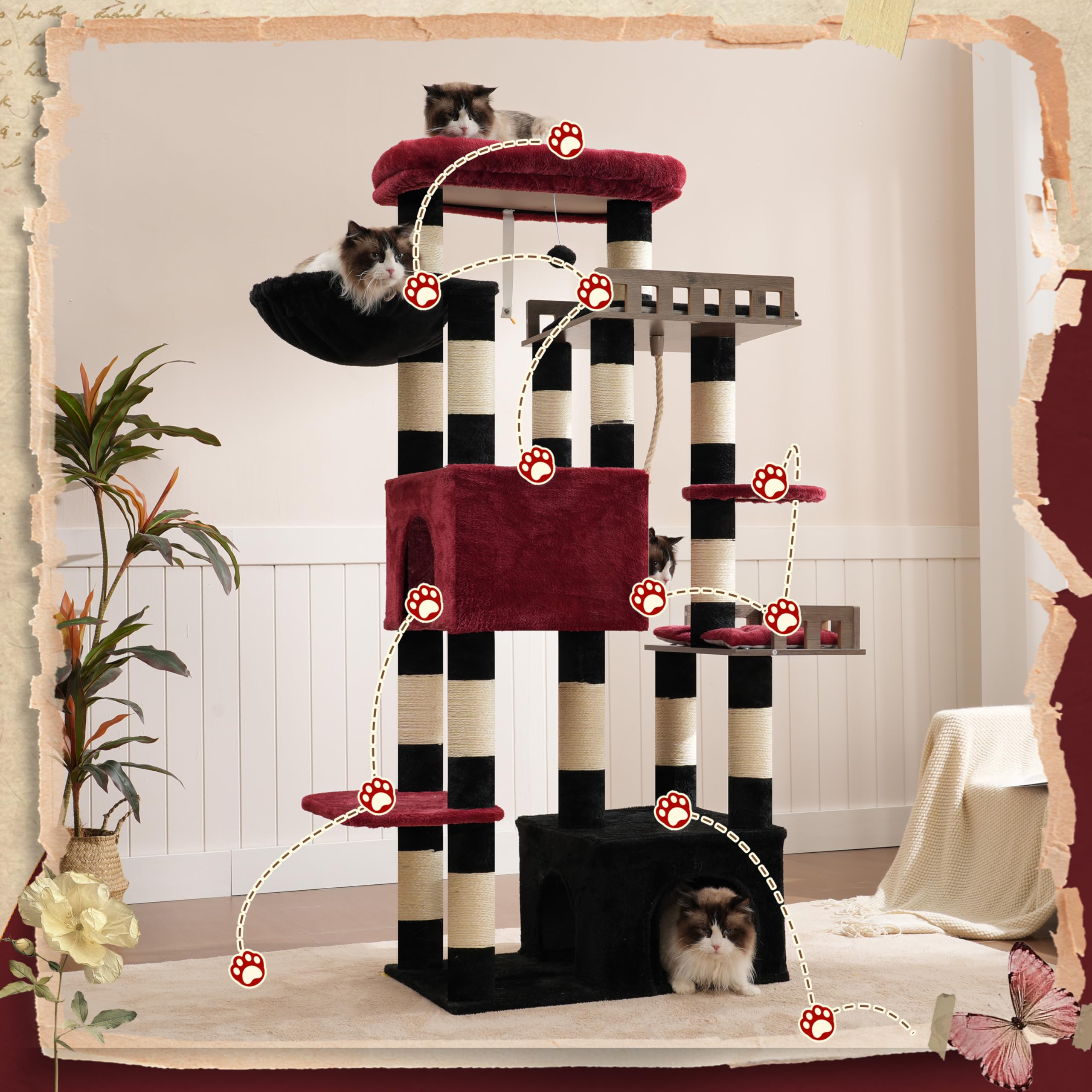 Gitelsnour padded edges on top perch provide soft, non-slip lounging
