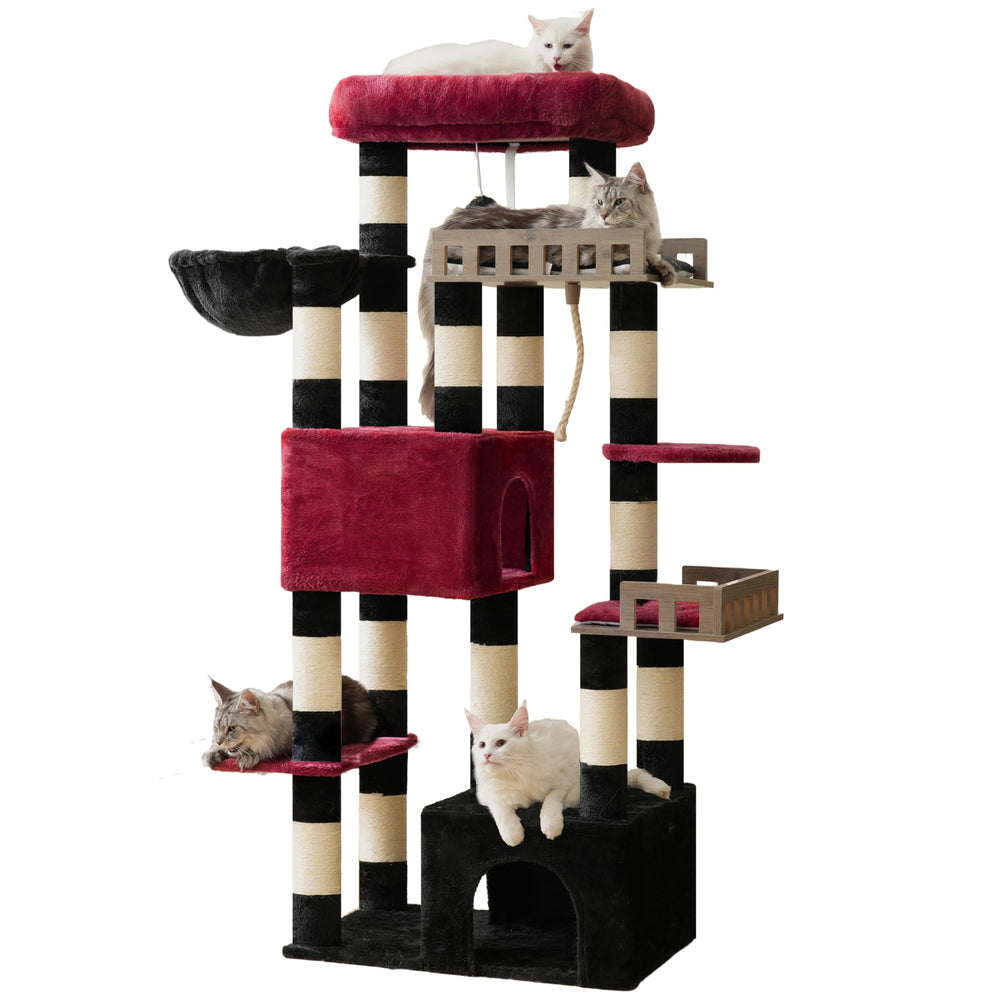 Gitelsnour living room cat tree stands tall as indoor playground