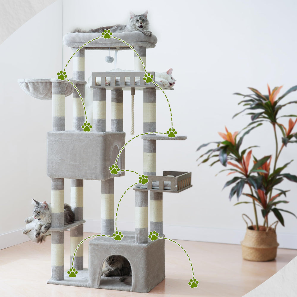 Gitelsnour Maine Coon Cat Tree hammock adds comfortable resting space.