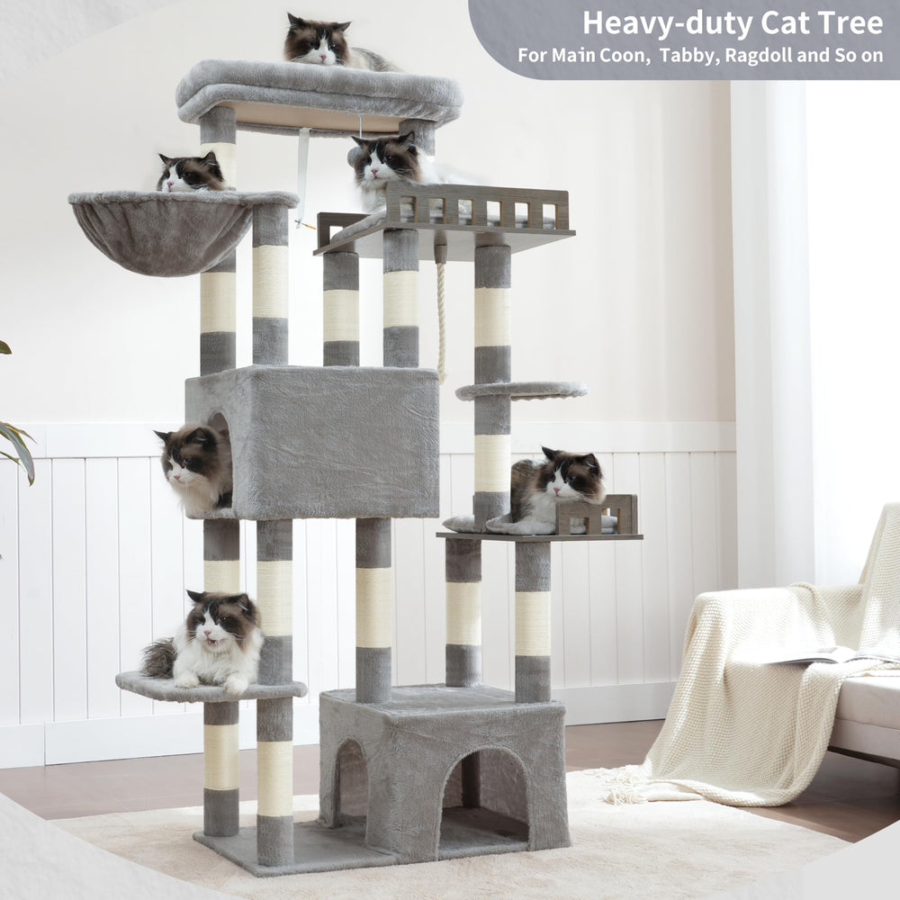 Gitelsnour Maine Coon Cat Tree wide base supports multiple cats safely.