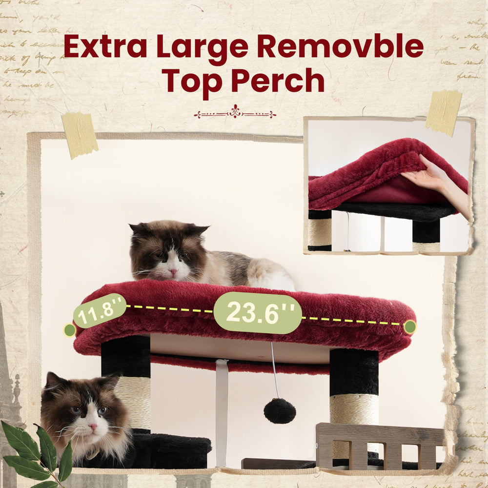 Gitelsnour Maine Coon top perch offers elevated lounging with padding