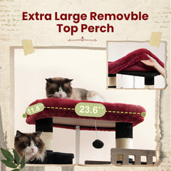 Gitelsnour Maine Coon top perch offers elevated lounging with padding