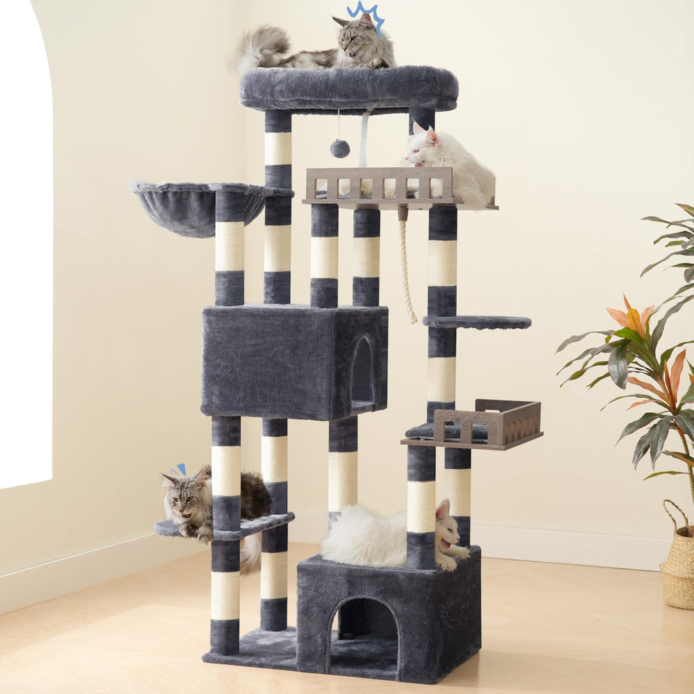 Gitelsnour side view showing multi-level design for large cats