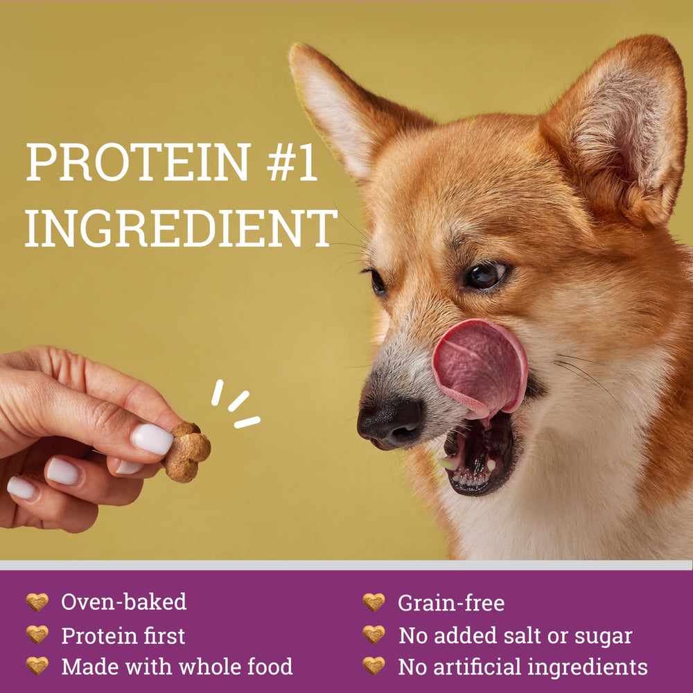 GivePet Doghouse Rock grain-free healthy snack for sensitive stomachs