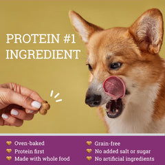 GivePet Doghouse Rock grain-free healthy snack for sensitive stomachs