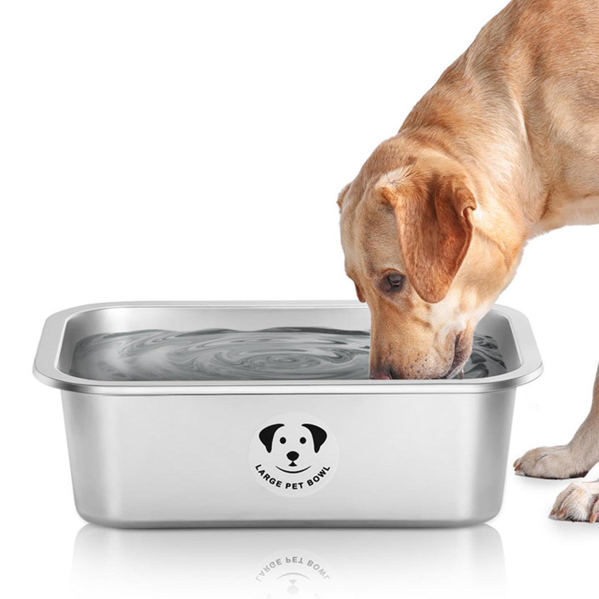GIXSEGIE comedero grande en acero inoxidable para perros grandes, alta capacidad y durabilidad.