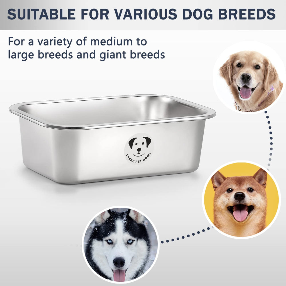 GIXSEGIE ideal para varios perros permite comer juntos sin desorden.