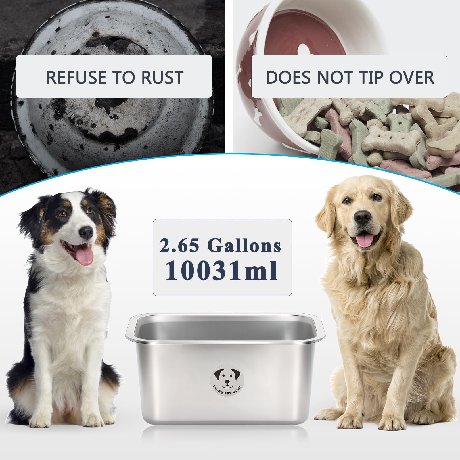 GIXSEGIE stainless steel bowl with non-slip base keeps feeding area stable.