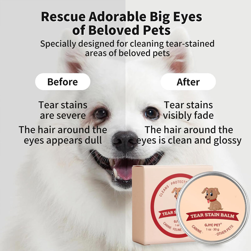 GJYC PET eye cleaner for dogs demonstrates gentle cleansing of the eye area.