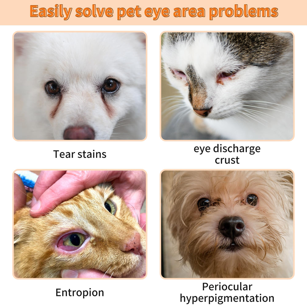 GJYC PET tear-stain remover removes eye boogers and discharge for clearer eyes.