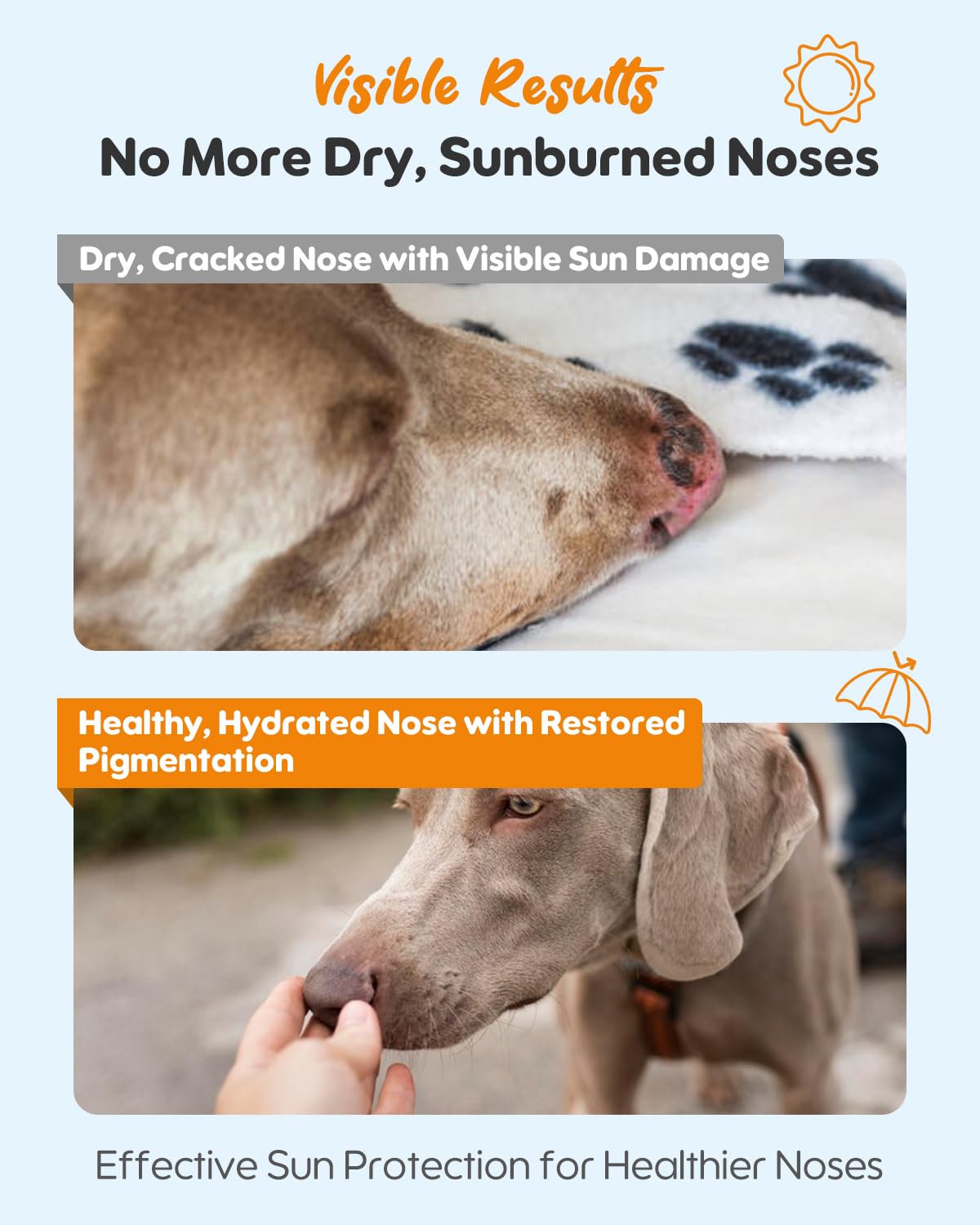GJYC PET vet-approved skincare balm packaging signals trusted daily nose protection.