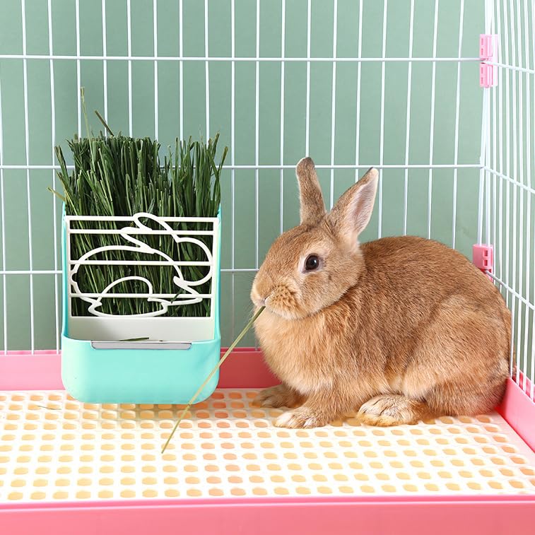 GKYZBB removable-bowl-for-cleaning, detach for quick hygiene checks between feeding sessions.