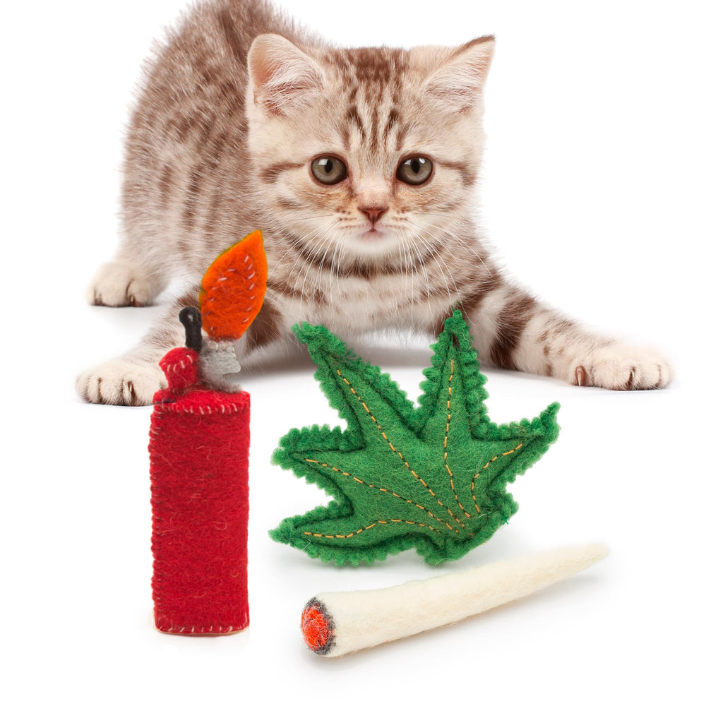 Glaciart One interactive playtime close-up shows durable toy set for long-lasting kitty fun.