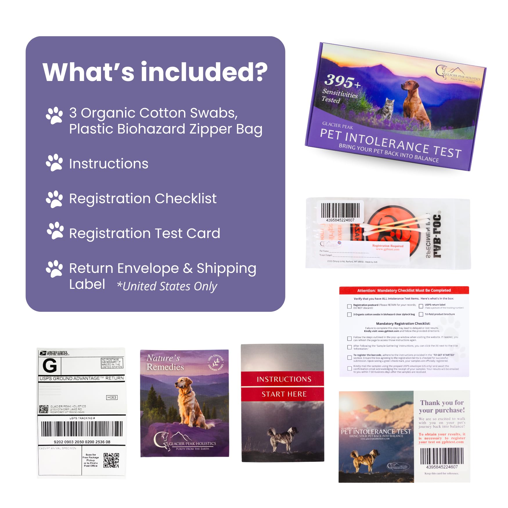 Glacier Peak dog sample collection kit used by pet parents for testing.