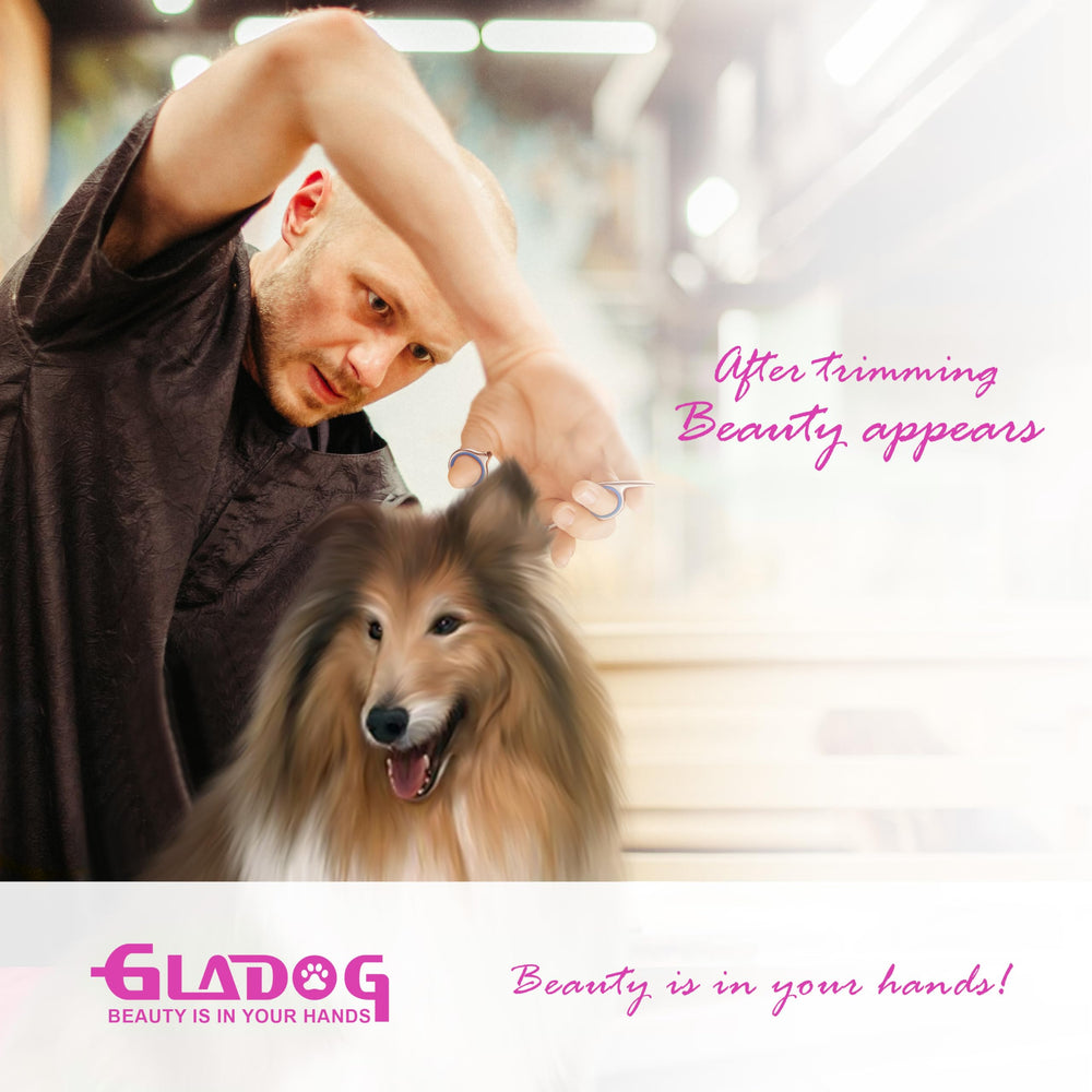 GLADOG cleaning cloth, quick wipe-down for hygiene after grooming.