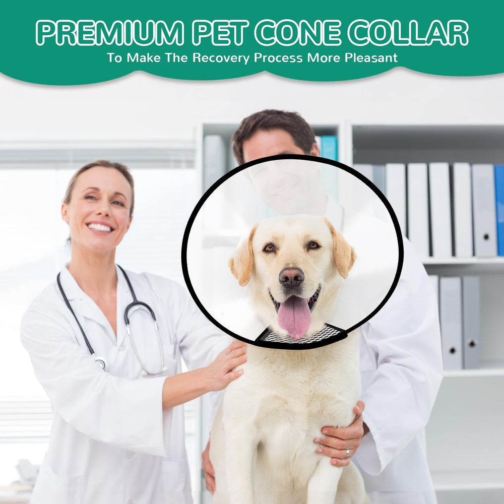 GLADOG cone used for grooming and nail trimming without hindering movement