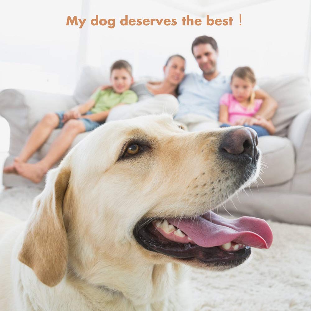 GLADOG durable buds with wood shaft for reliable dog care sessions.