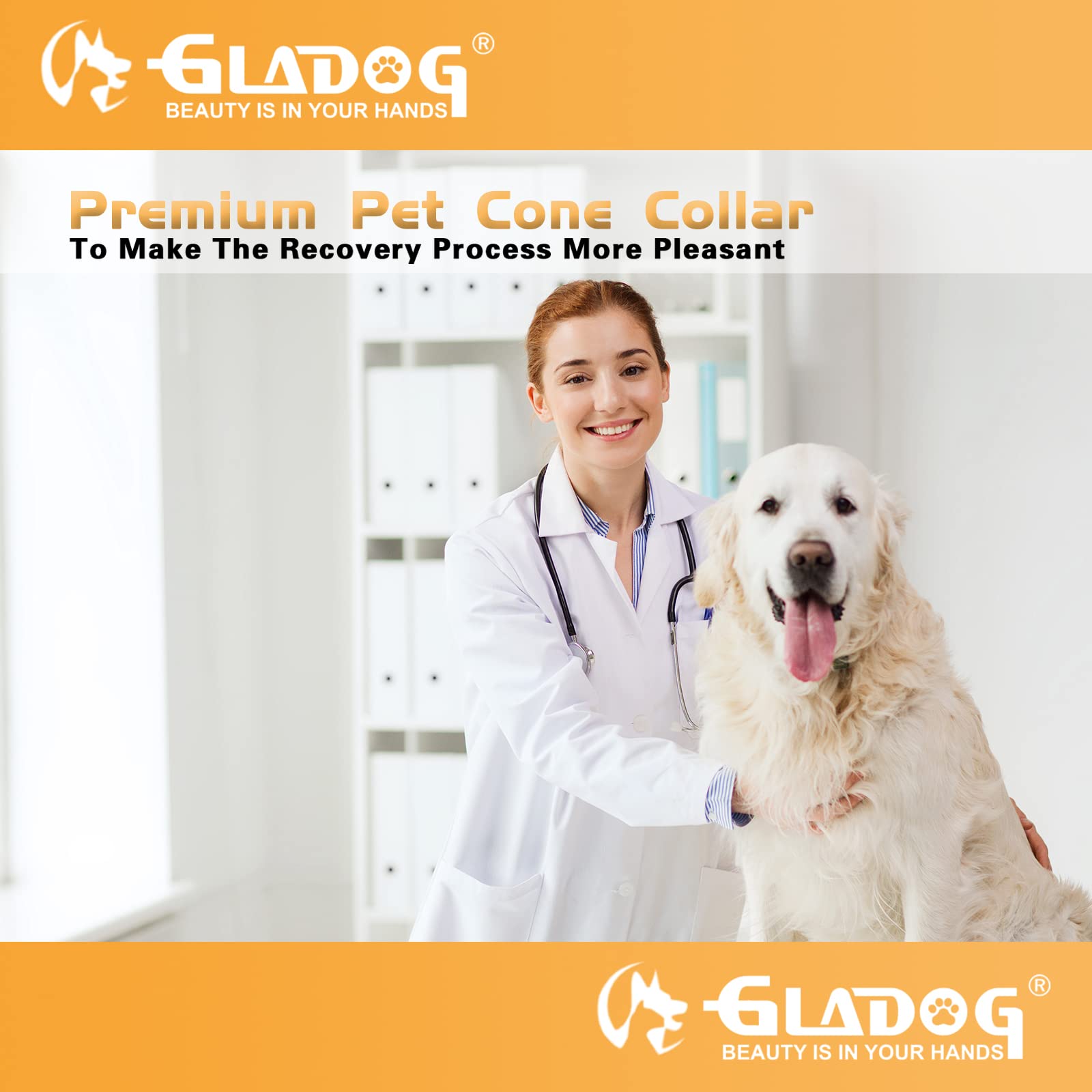 GLADOG easy-clean PVC material supports quick maintenance after use